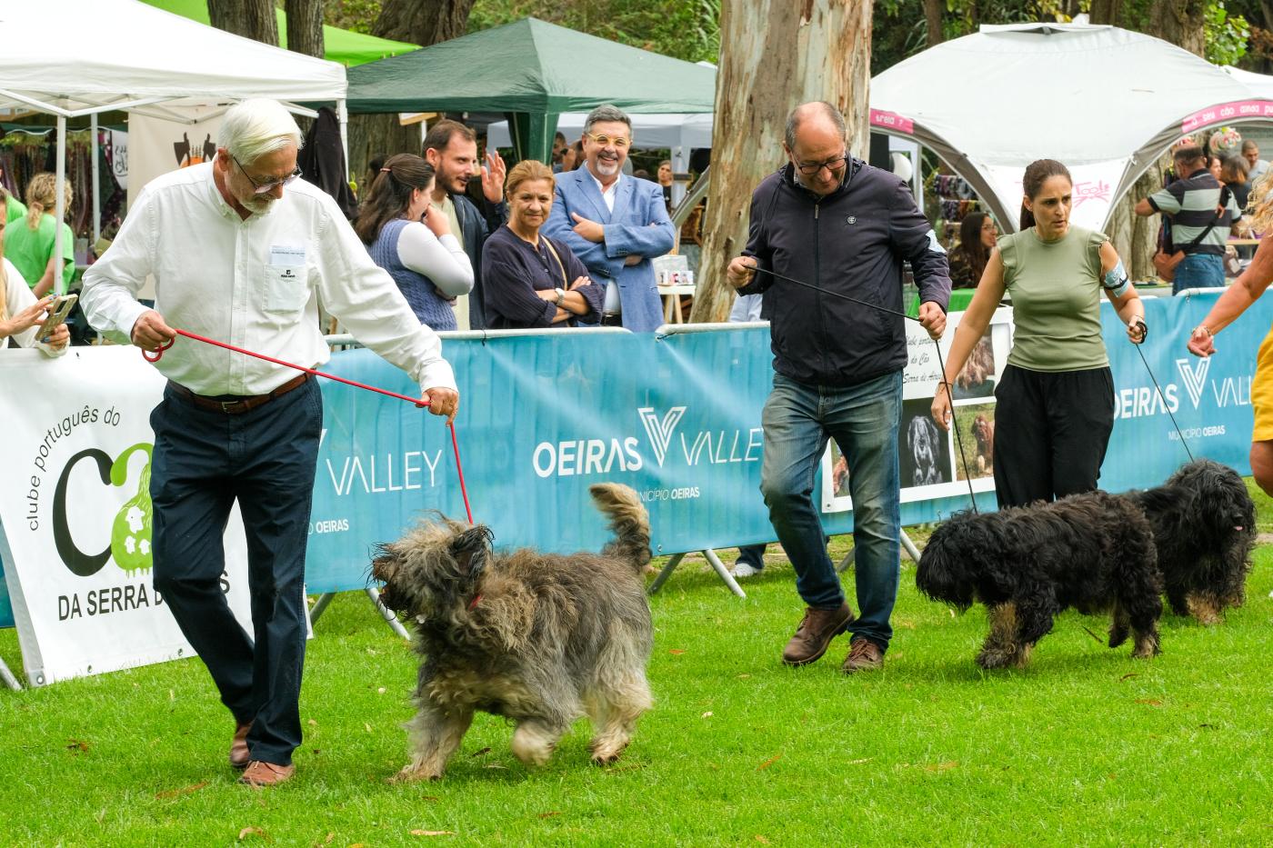 Festa Animal anima o Jardim Municipal de Oeiras