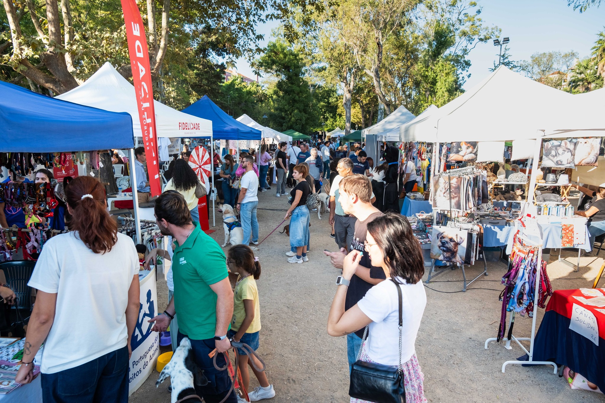 Festa Animal encheu Jardim Municipal de Oeiras