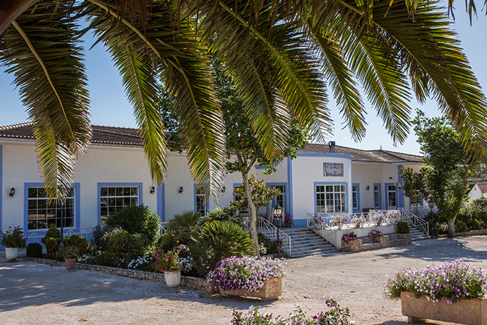 Junta de Freguesia de Barcarena promove Almoço de São Martinho com viagem a Torres Vedras